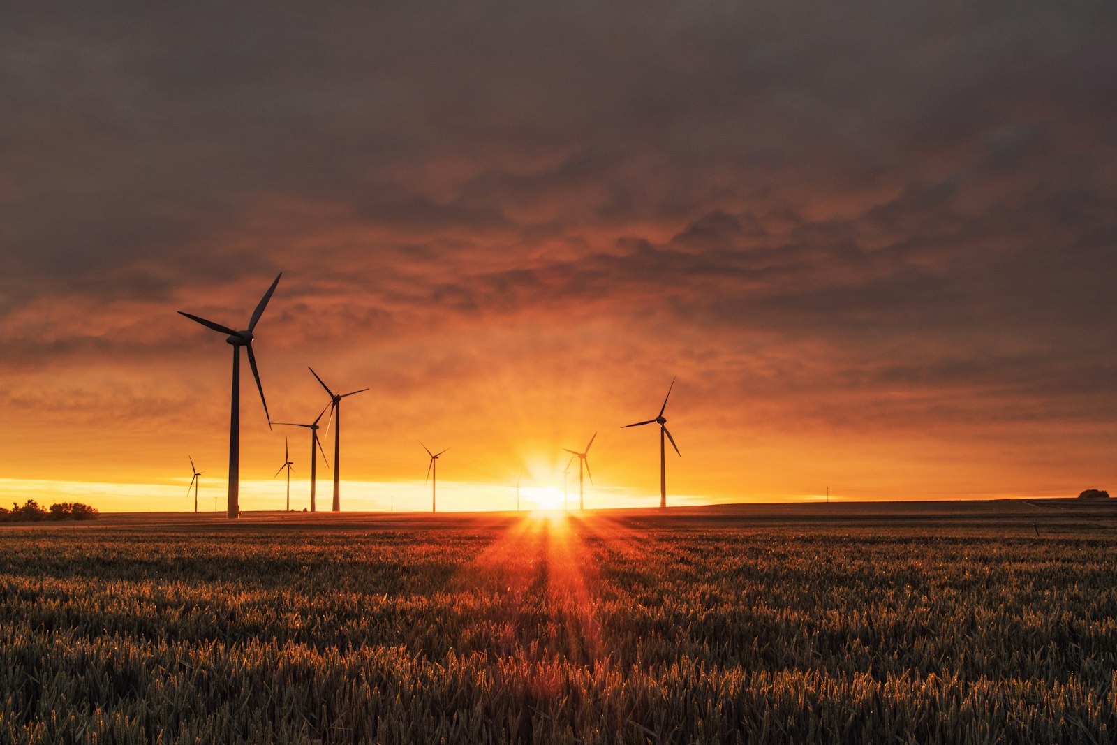 Wind turbines on a distant horizon